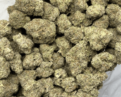 GREASE MONKEY (BIGS) - TRIP EXOTICS - Image 3