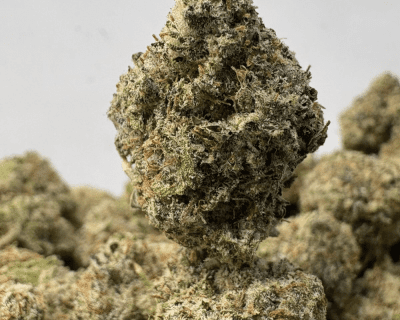 GREASE MONKEY (SMALLS) - TRIP EXOTICS