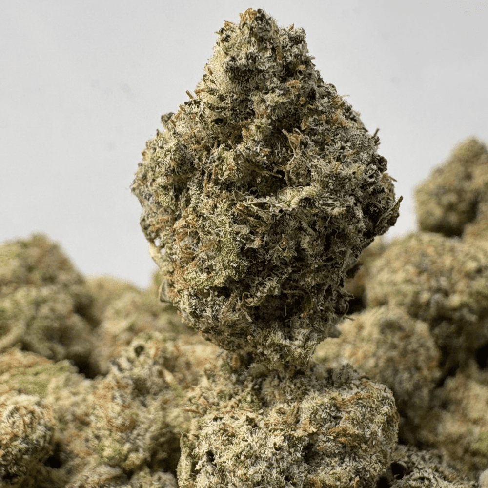GREASE MONKEY (SMALLS) - TRIP EXOTICS GREASE MONKEY (SMALLS) - TRIP EXOTICS