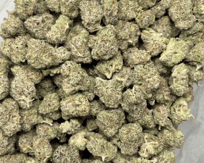 GREASE MONKEY (SMALLS) - TRIP EXOTICS - Image 3