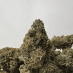 HOMICIDAL PINK (LSO GAS)