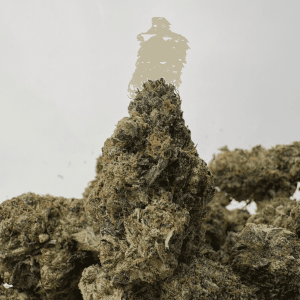 HOMICIDAL PINK (LSO GAS)