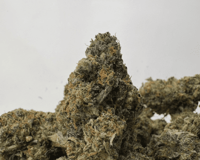 HOMICIDAL PINK (LSO GAS)