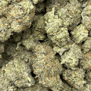 HOMICIDAL PINK (LSO GAS) - Image 2