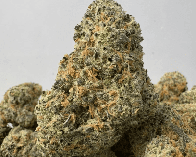 JACKFRUIT (BIGS) - TRIP EXOTICS