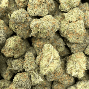 JACKFRUIT (BIGS) - TRIP EXOTICS - Image 2