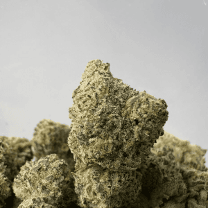 JACKFRUIT (SMALLS) - TRIP EXOTICS