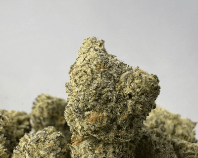 JACKFRUIT (SMALLS) - TRIP EXOTICS