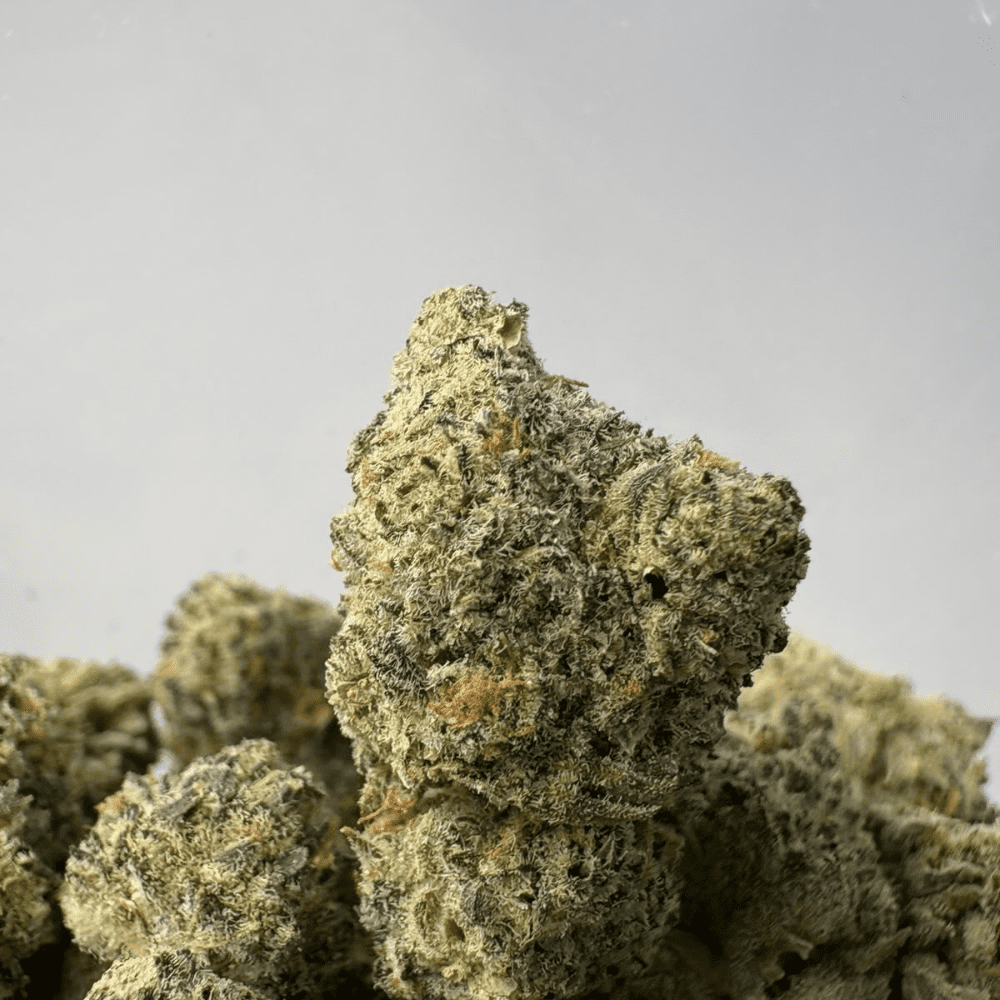 JACKFRUIT (SMALLS) - TRIP EXOTICS JACKFRUIT (SMALLS) - TRIP EXOTICS