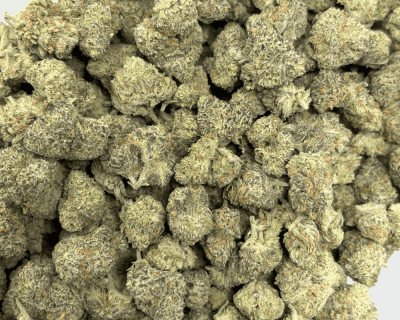 JACKFRUIT (SMALLS) - TRIP EXOTICS - Image 3