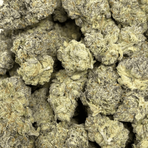 JETFUEL GELATO (BIGS) - QUAD EXOTICS - Image 2