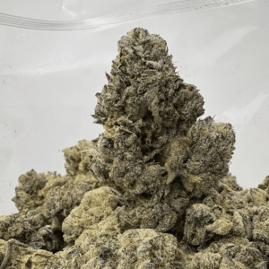 JETFUEL GELATO (BIGS) - QUAD EXOTICS