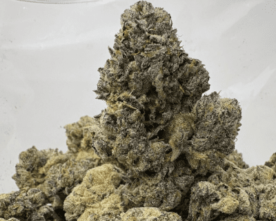 JETFUEL GELATO (BIGS) - QUAD EXOTICS