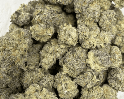 JETFUEL GELATO (BIGS) - QUAD EXOTICS - Image 3