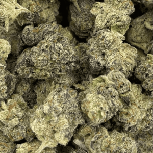 JETFUEL GELATO (SMALLS) - QUAD EXOTICS - Image 2