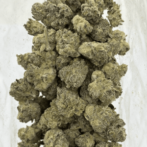 JETFUEL GELATO (SMALLS) - QUAD EXOTICS - Image 3