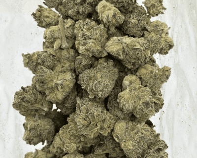 JETFUEL GELATO (SMALLS) - QUAD EXOTICS - Image 3