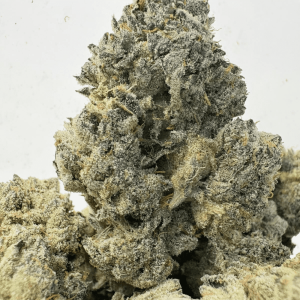 JETFUEL GELATO (SMALLS) - QUAD EXOTICS