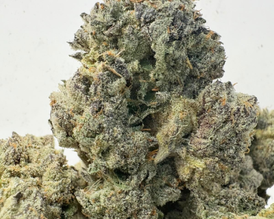 JETFUEL GELATO (SMALLS) - QUAD EXOTICS