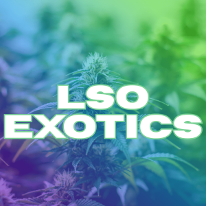 LSO Exotics