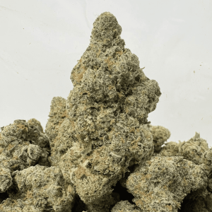 LAFFY TAFFY (BIGS) - TRIP EXOTICS