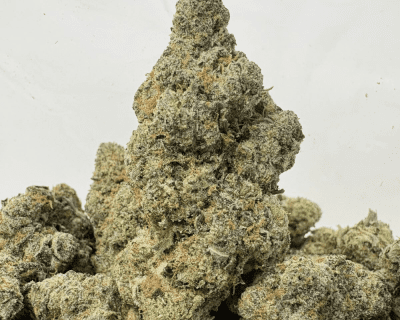 LAFFY TAFFY (BIGS) - TRIP EXOTICS