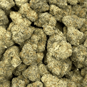 LAFFY TAFFY (SMALLS) - TRIP EXOTICS - Image 2