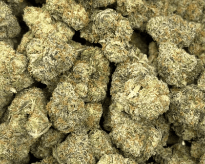 LAFFY TAFFY (SMALLS) - TRIP EXOTICS - Image 2