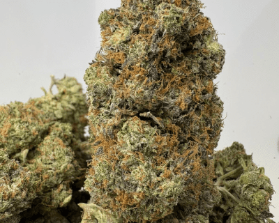 LAND MINE PINK (BIGS) - QUAD GAS