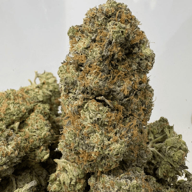 LAND MINE PINK (BIGS) - QUAD GAS