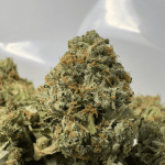 LAND MINE PINK (SMALLS) - QUAD GAS