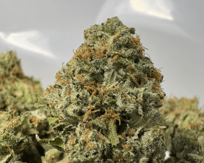 LAND MINE PINK (SMALLS) - QUAD GAS