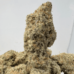 MAC & CHEESE (BIGS) - TRIP EXOTICS