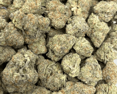 MAC & CHEESE (BIGS) - TRIP EXOTICS - Image 3