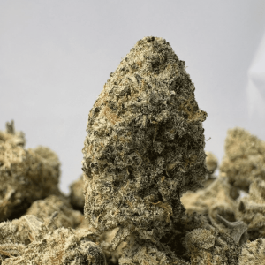 MAC & CHEESE (SMALLS) - TRIP EXOTICS