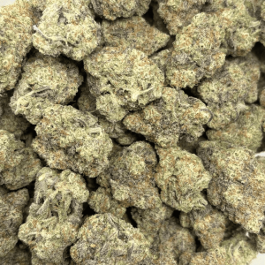 MACULATOR (BIGS) - QUAD EXOTICS - Image 3