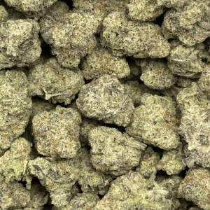 MACULATOR (SMALLS) - QUAD EXOTICS - Image 2