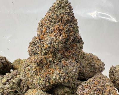 MIDNIGHT RUNTZ (BIGS) - QUAD EXOTICS