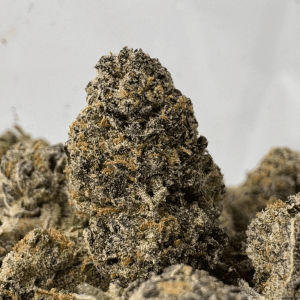 MIDNIGHT RUNTZ (SMALLS) - QUAD EXOTICS