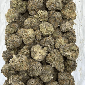 MIDNIGHT RUNTZ (SMALLS) - QUAD EXOTICS - Image 3