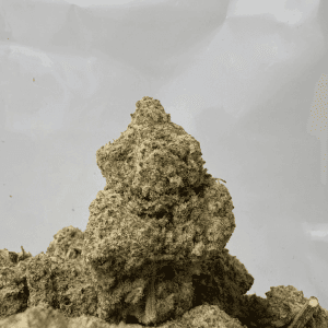 MIRACLE ALIEN COOKIES (BIGS) - TRIP EXOTICS