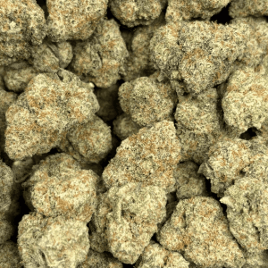 MIRACLE ALIEN COOKIES (BIGS) - TRIP EXOTICS - Image 2