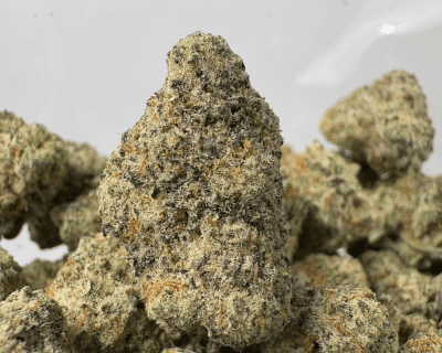 MIRACLE ALIEN COOKIES (SMALLS) - TRIP EXOTICS