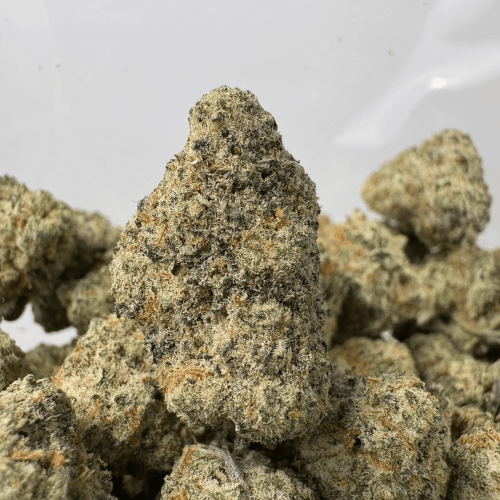MIRACLE ALIEN COOKIES (SMALLS) - TRIP EXOTICS MIRACLE ALIEN COOKIES (SMALLS) - TRIP EXOTICS