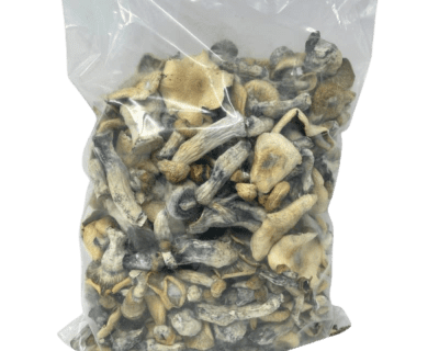 ODPE PSILOCYBIN MUSHROOMS - Image 4