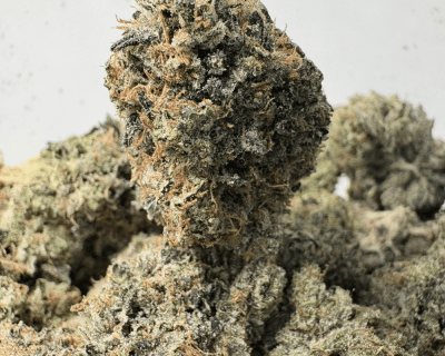 PINK DIABLO (BIGS) - QUAD GAS