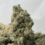 PINK DIABLO (SMALLS) - QUAD GAS