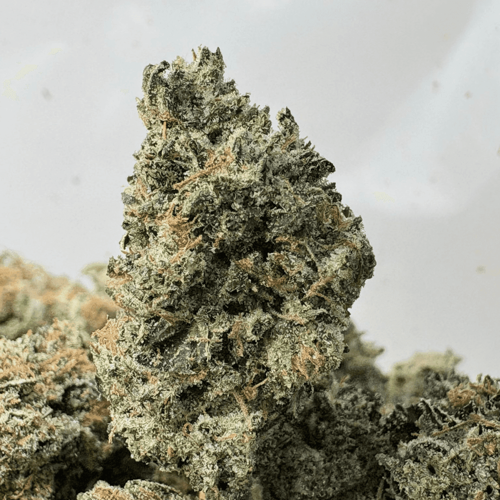 PINK DIABLO (SMALLS) - QUAD GAS