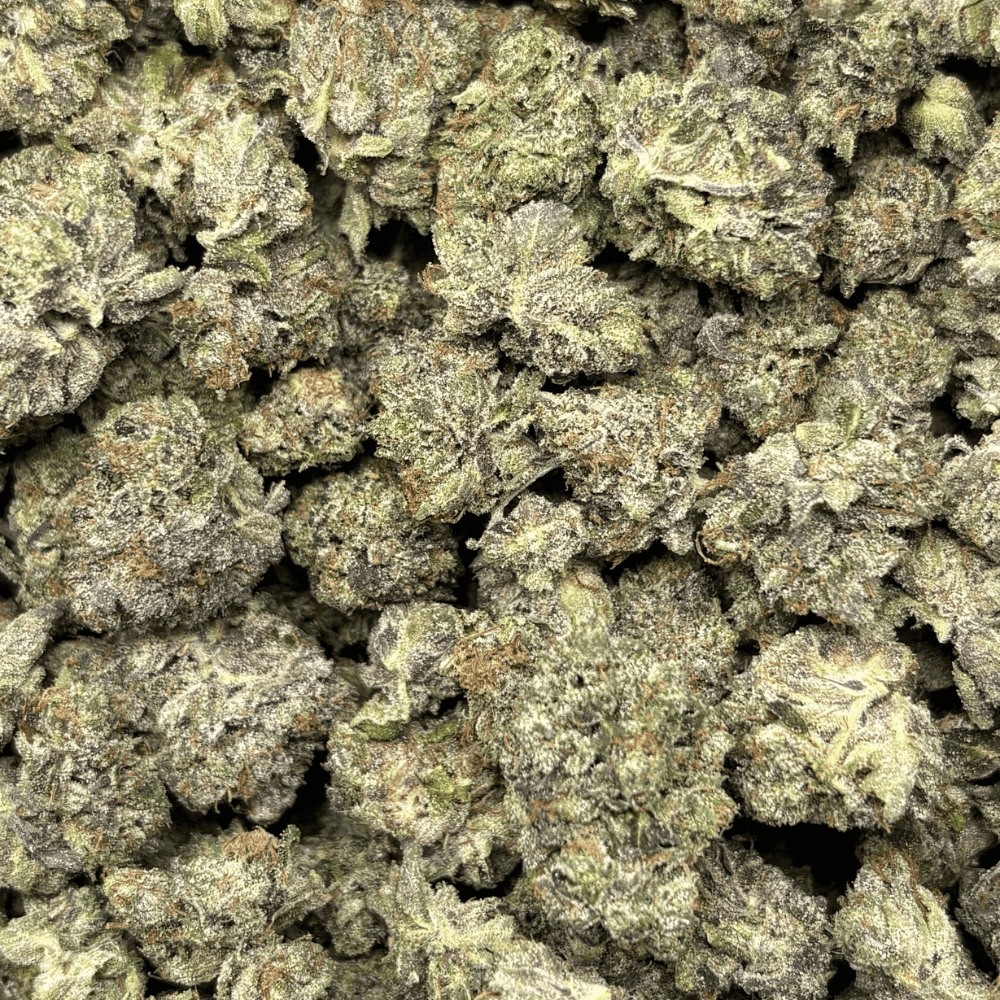 PINK DIABLO (SMALLS) - QUAD GAS - Image 2