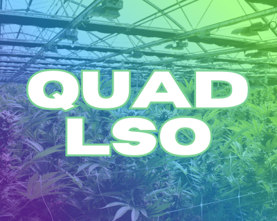 Quad LSO
